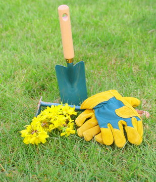outils de jardinage,gants et ustensile