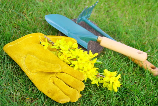 outils de jardinage,gants et ustensile