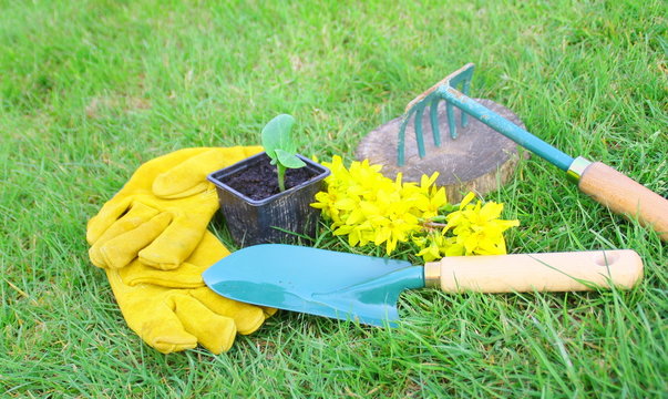outils de jardinage,gants et ustensile