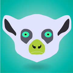 lemur head