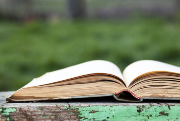 Open book on green background