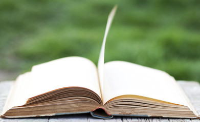 Open book on green background