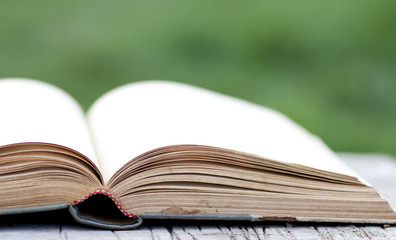 Open book on green background