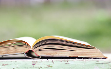 Open book on green background