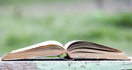 Open book on green background