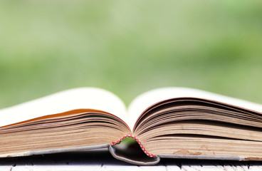 Open book on green background