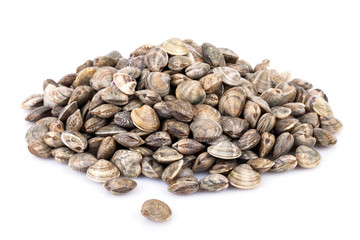 Raw Lupins Clams