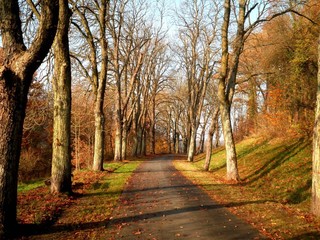 Beautiful Road in Germany