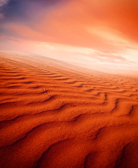 Fototapeta na wymiar Sand dunes at sunset in the Sahara Desert