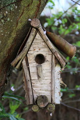 Mangeoire oiseaux