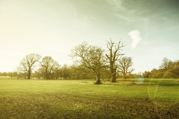 english countryside