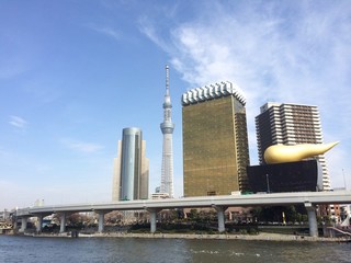 Fototapeta na wymiar Tokyo city view at sumida river