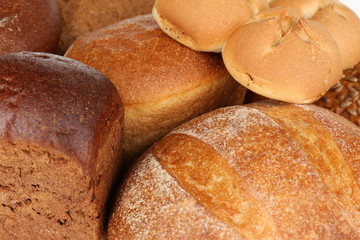 Different types of bread close up