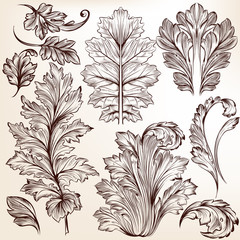 Collection of vector decorative floral elements in vintage style