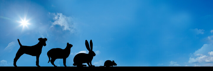 website banner - Tiergruppe - format 3 zu 1 - g730