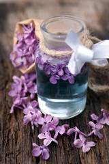 Obraz na płótnie Canvas Common lilac flowers