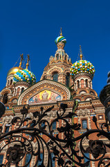 Fototapeta na wymiar Cupola of the Church of the Savior on Blood, St Petersburg