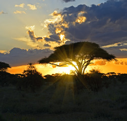 Naklejka premium Afrykański krajobraz