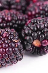 blackberries