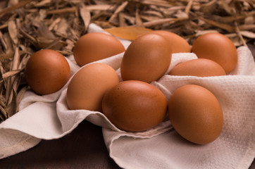 vintage eggs color processed