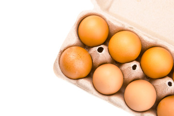 eggs