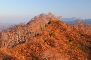 錦秋「越後の山」