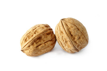 Walnuts on the withe background