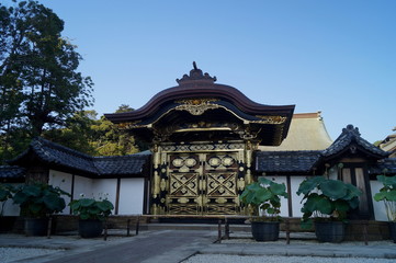 Fototapeta premium 鎌倉 建長寺 唐門 外側 神奈川県