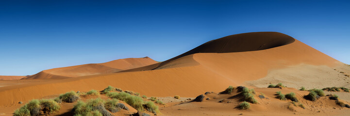 Fototapeta na wymiar Panorama of the Sossusvlei Dune Field
