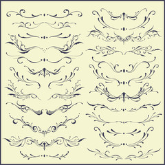 Obraz premium Floral divider and borders vector