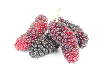 Group of mulberries isolated on a white background.