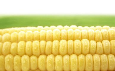 Corn