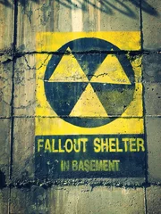 Ingelijste posters Fallout shelter © emanuela carratoni