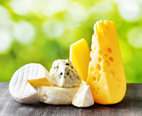 Different types of cheese on nature background