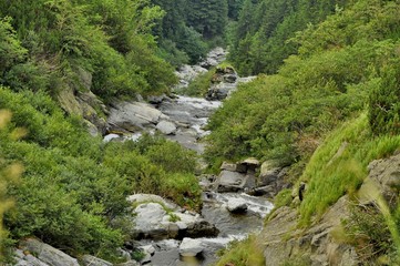 Fototapeta na wymiar Mountain stream view