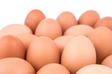 eggs on a white background