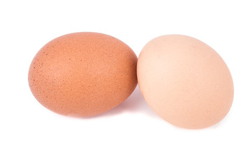 eggs on a white background