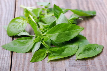 Fresh basil leaves on the wooden background