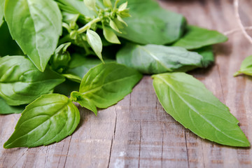 Fresh basil leaves on the wooden background