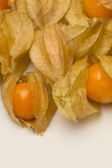 Physalis fruits isolated on a white background