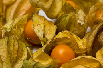 physalis fruits isolated on a white background
