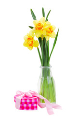 narcissus flowers in vase