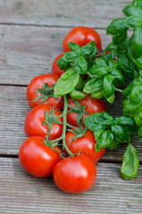 Tomaten mit Basilikum