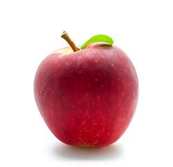 Red apple on white
