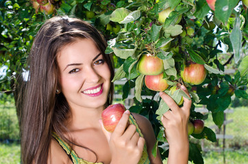 Girl picking ripe apple from the tree.Eating healthy fresh fruit