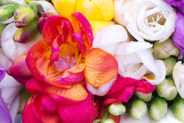 red freesia inside colorful freesia bouquet