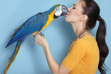 Macaw