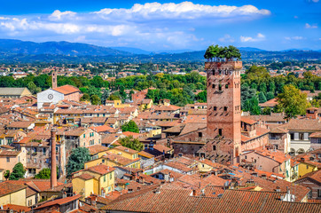 Scenic view of Lucca and Guinigi tower - obrazy, fototapety, plakaty