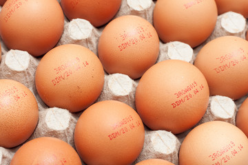 Batch of eggs with expiration date stamp