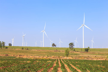 Group of wind turbine power generator